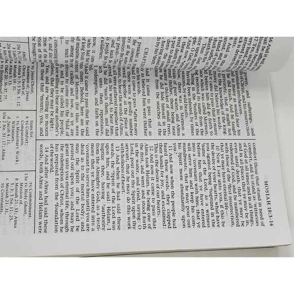 The Book of Mormon Another Testament of Jesus Christ - Picture 10 of 11